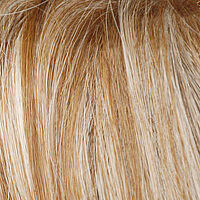 Blond-Grey-Root (17/101+Root18)*