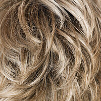 Blond-Grey-Root (17/101+Root18)