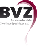 BVZ Logo